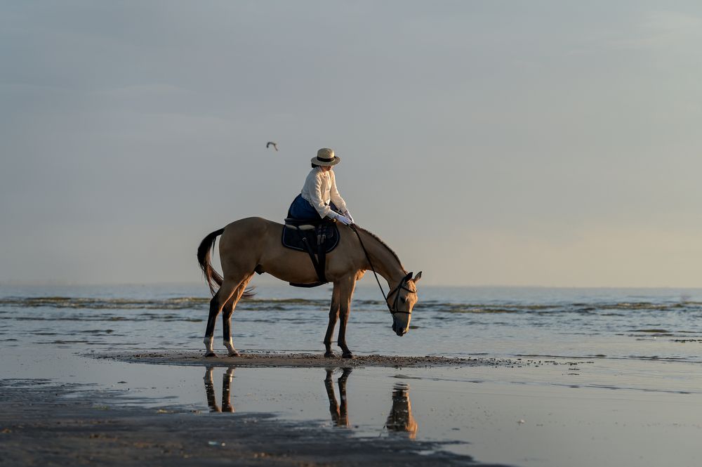 Photograph by Юлия Милосердова