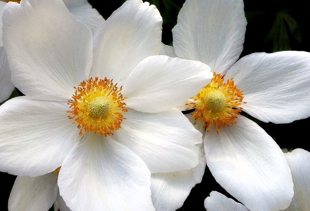 Фотография автора Ольга Кунакова