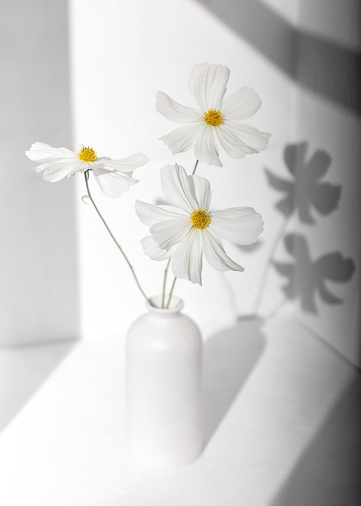 Photograph by Наталья Кабачек