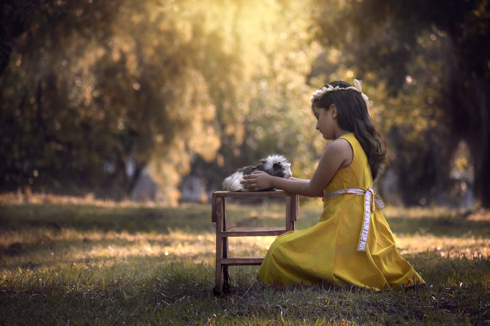 Фотография автора Stella Marys Valdiviezo