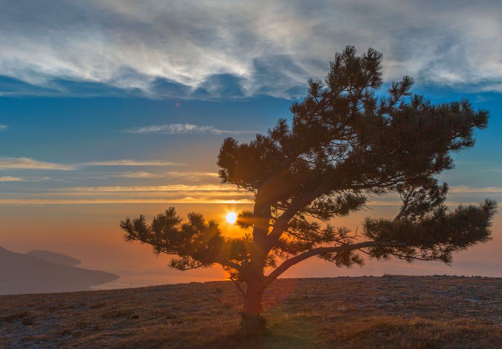 Photograph by Александр Литвинов