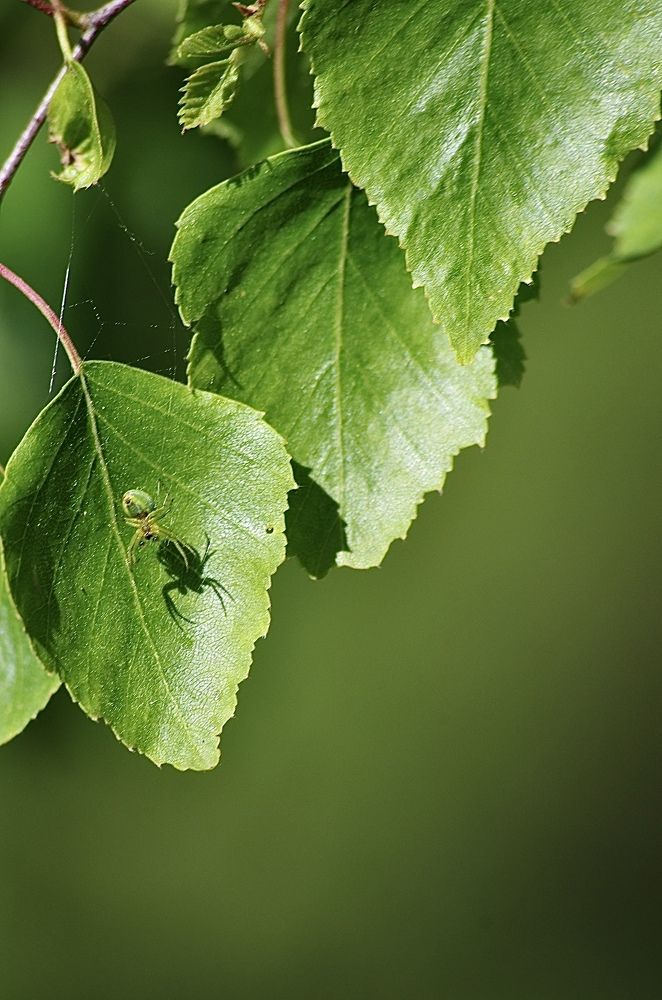 Photograph by Марина