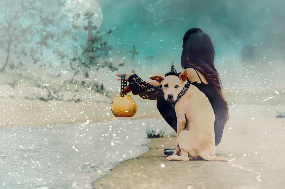 Фотография автора Stella Marys Valdiviezo