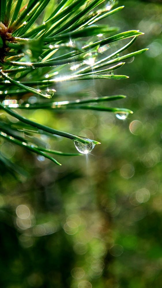 Photograph by Егор Жук