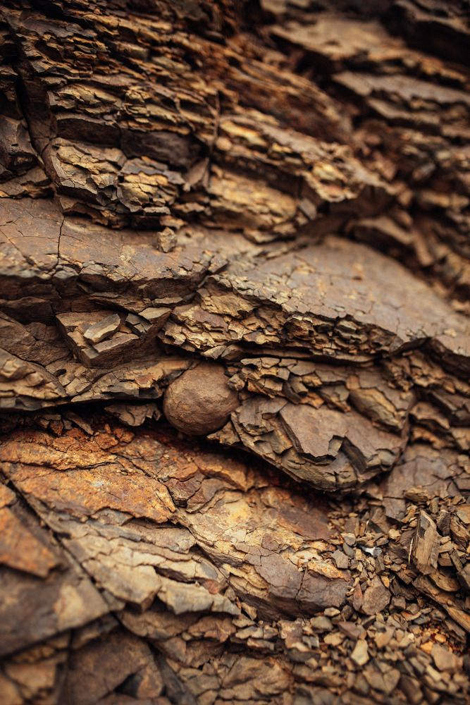 Photograph by Margarita