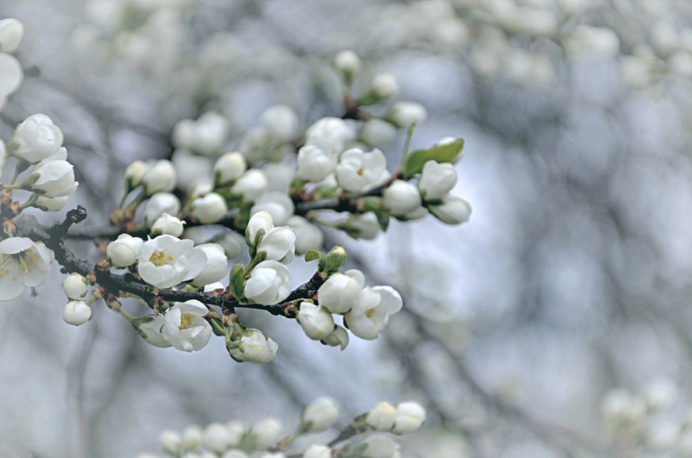 Photograph by Зыкова Мария