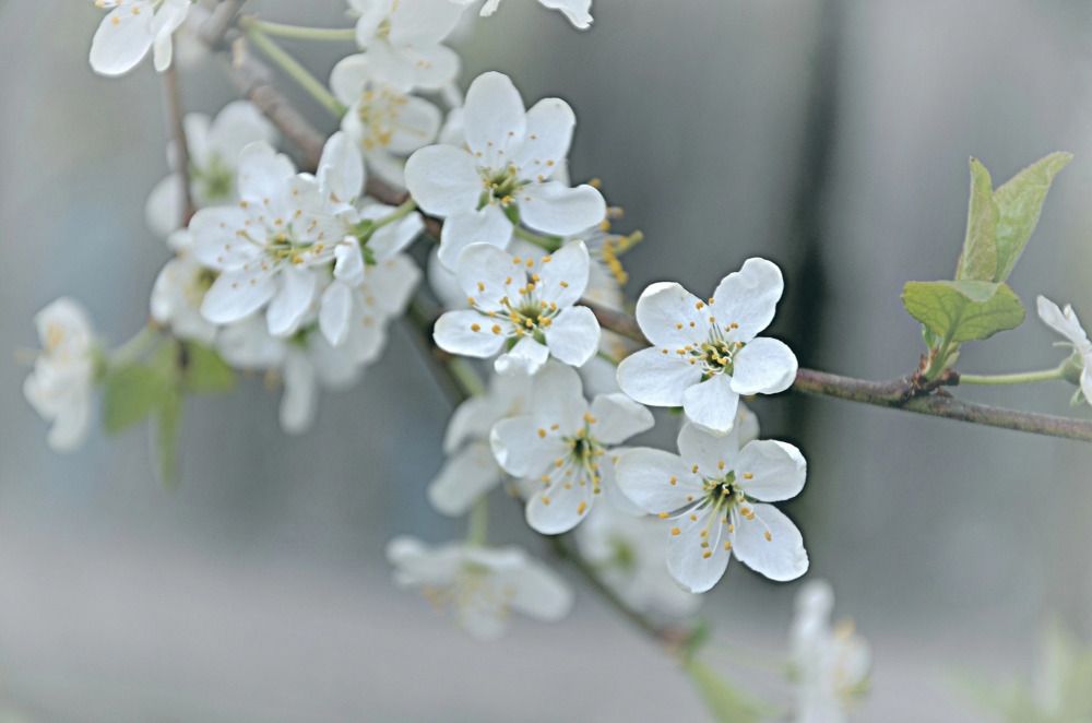 Photograph by Зыкова Мария