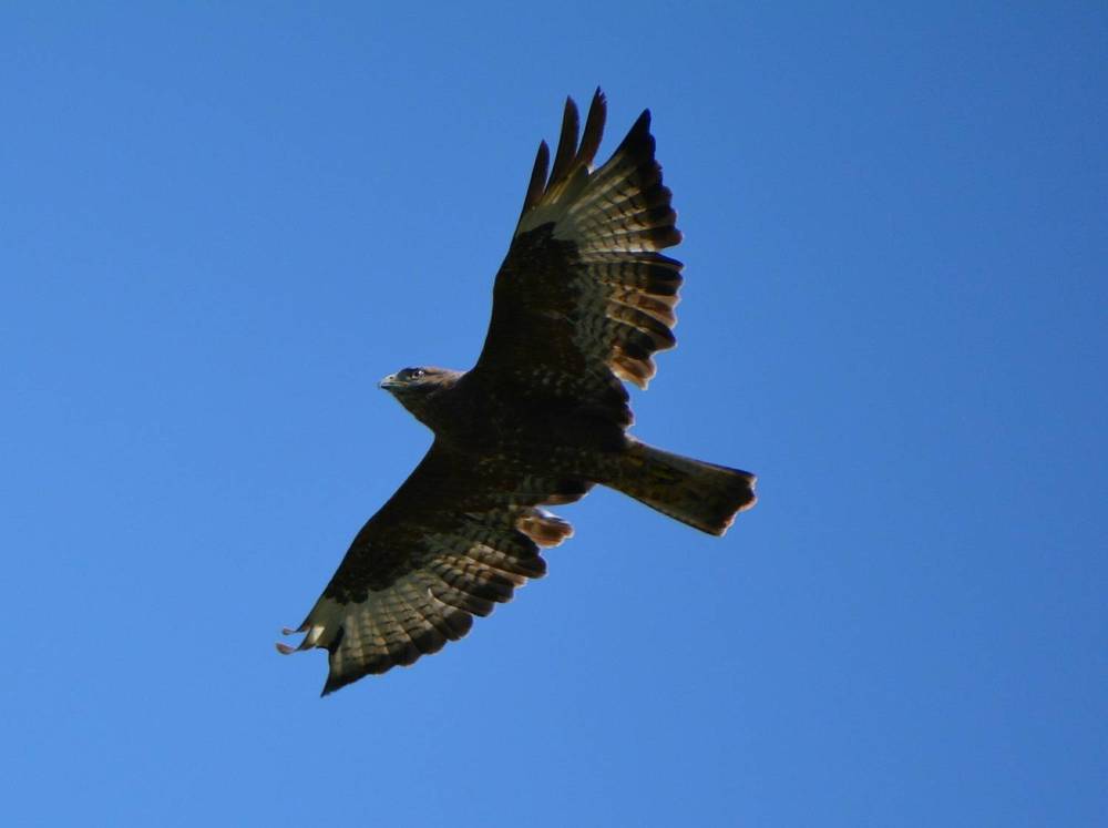 Photograph by Виолетта Клюева