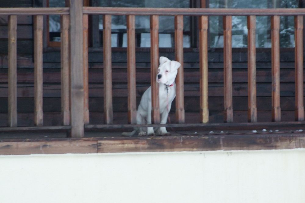 Photograph by Cengiz Yalcin