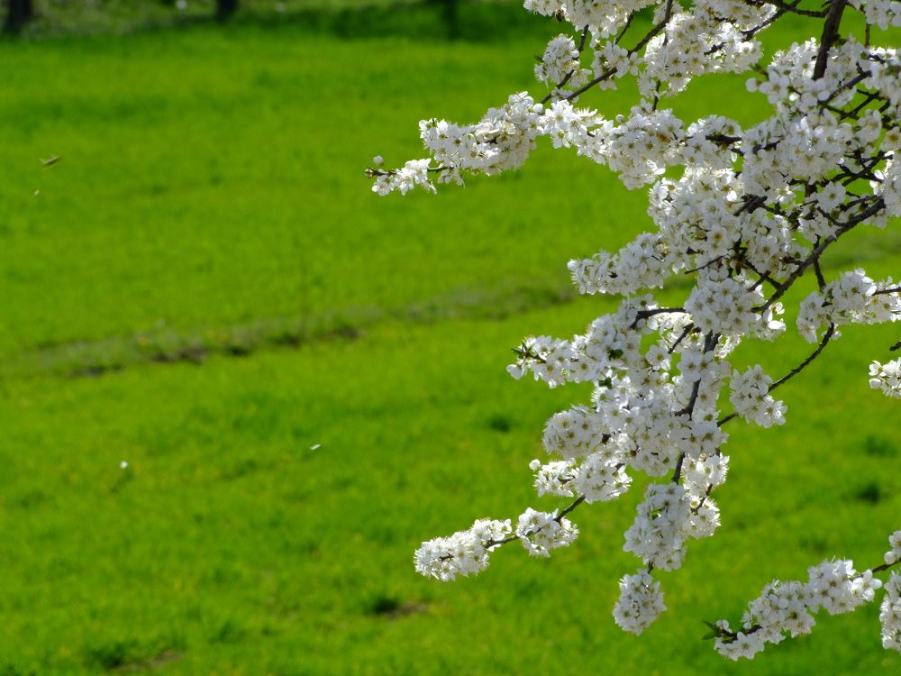 Photograph by Cengiz Yalcin