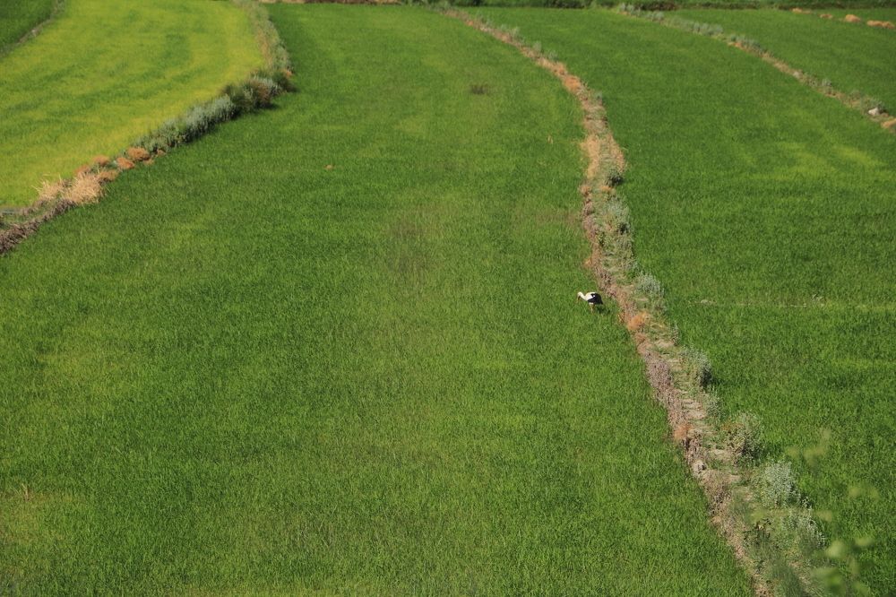 Photograph by Cengiz Yalcin