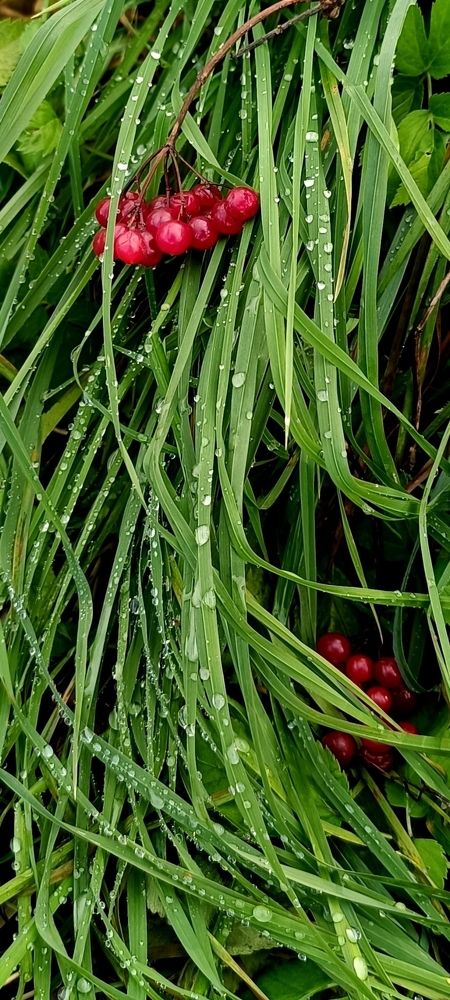 Photograph by Татьяна Исаева