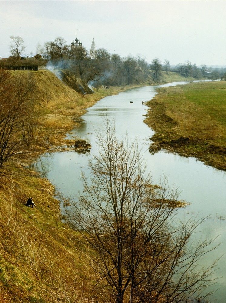 Photo #11385120