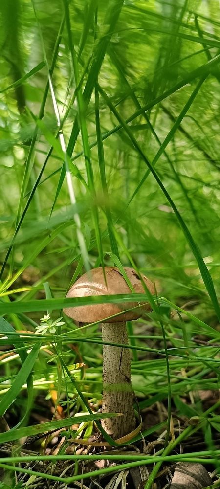 Photograph by Татьяна Исаева