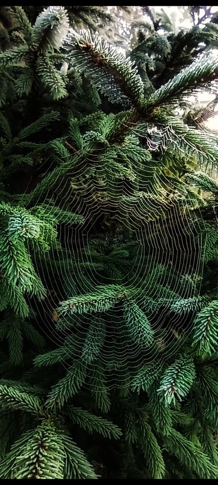 Photograph by Татьяна Исаева