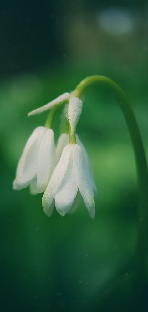 Photograph by ЕЛЕНА Рохо-Фернандес