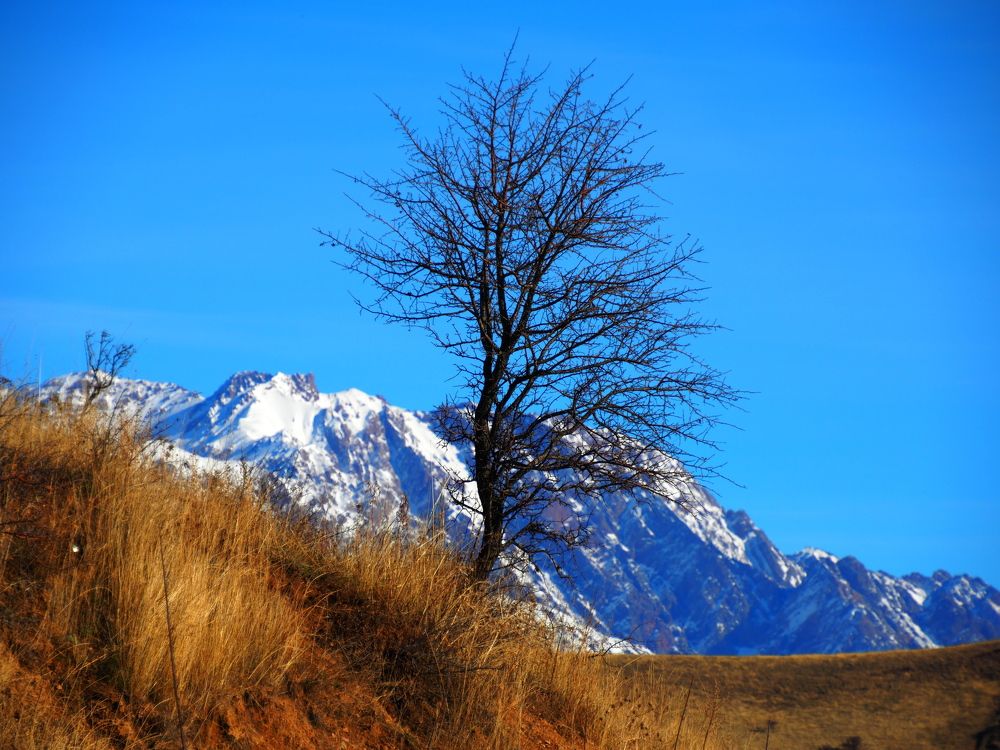 Photograph by PERESHEIN ANDREY