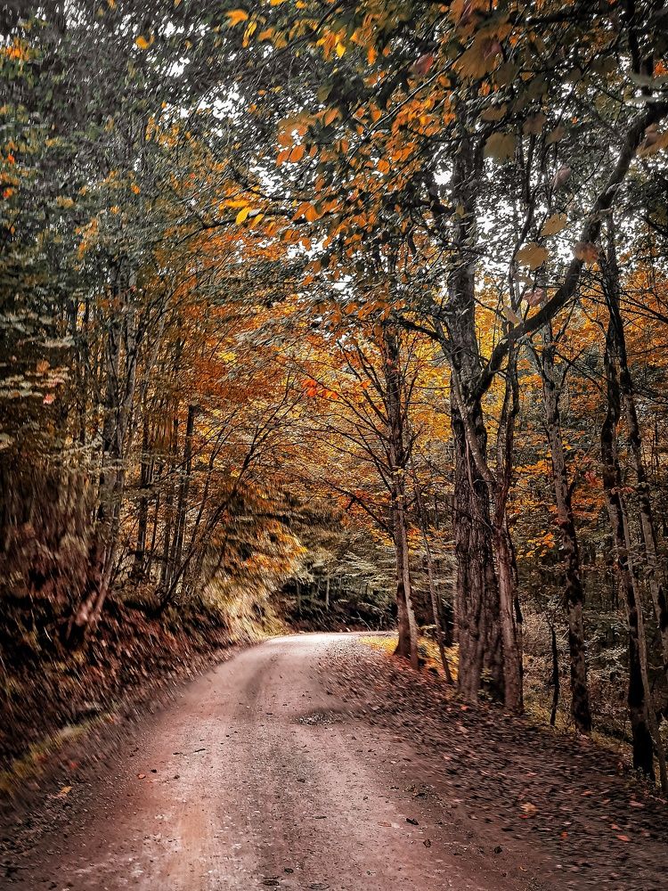 Photograph by Shahrzad Shahrokhi