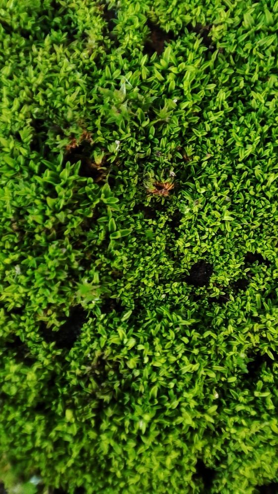 Photograph by Ангелина