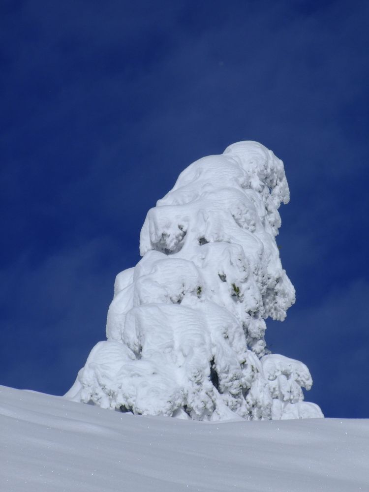 Photograph by Cengiz Yalcin