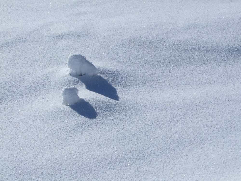 Photograph by Cengiz Yalcin