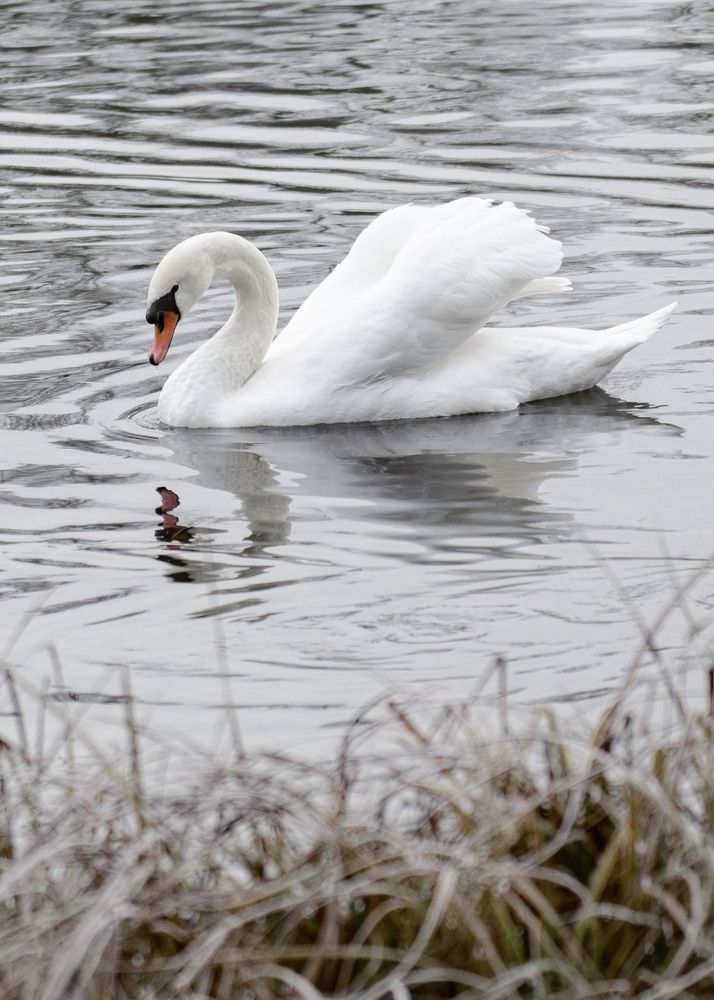 Photograph by Юлия Сидорова