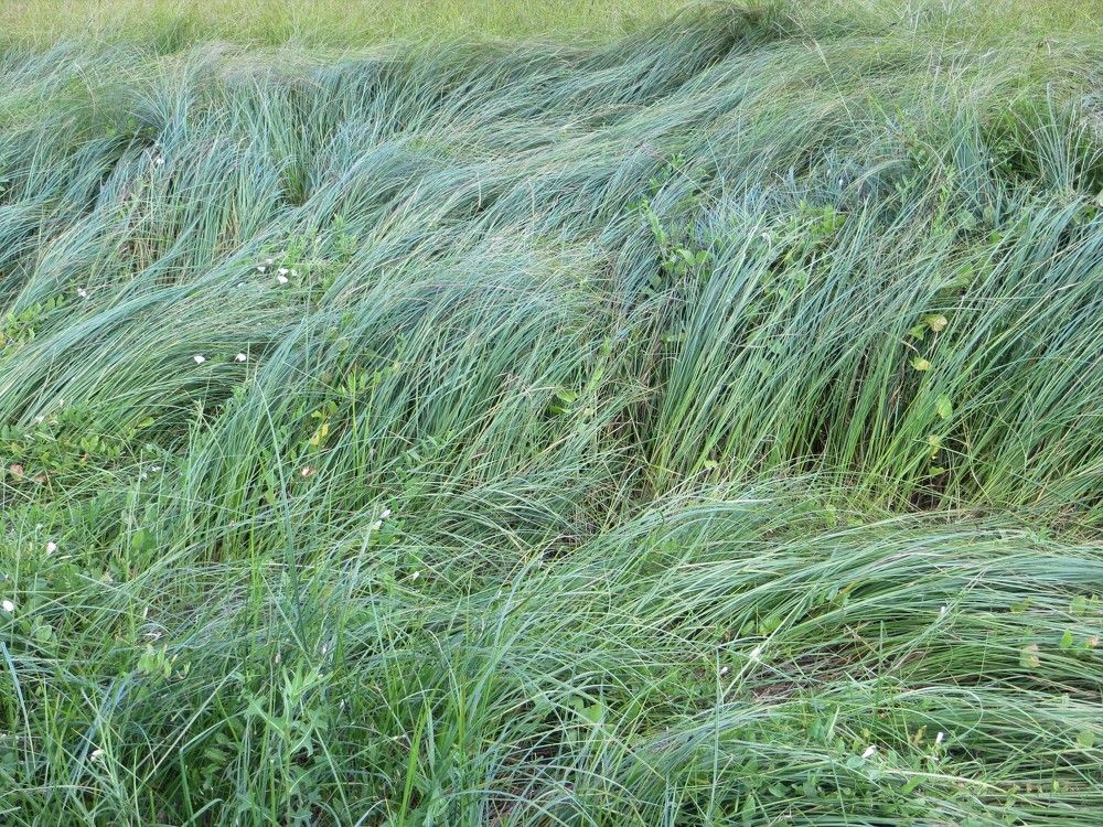 Photograph by Татьяна Поминова