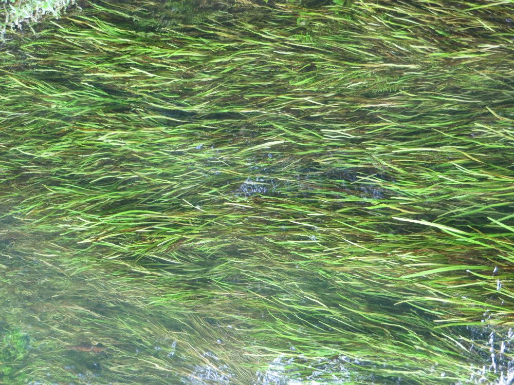 Photograph by Татьяна Поминова