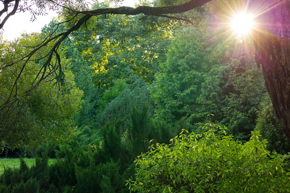 Фотография автора Vadim Kopilets