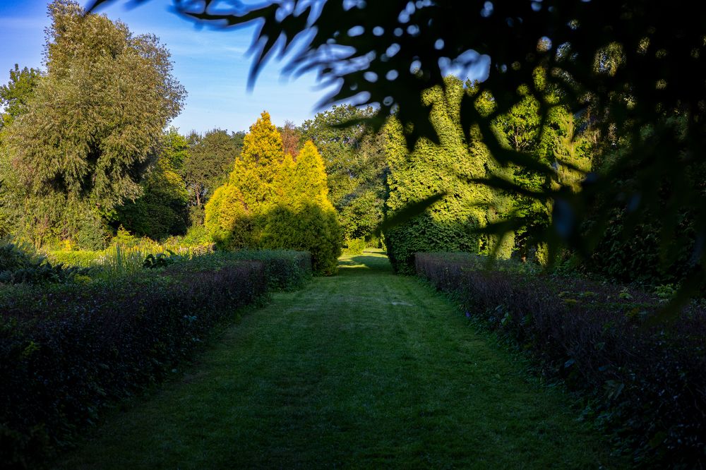 Фотография автора Vadim Kopilets