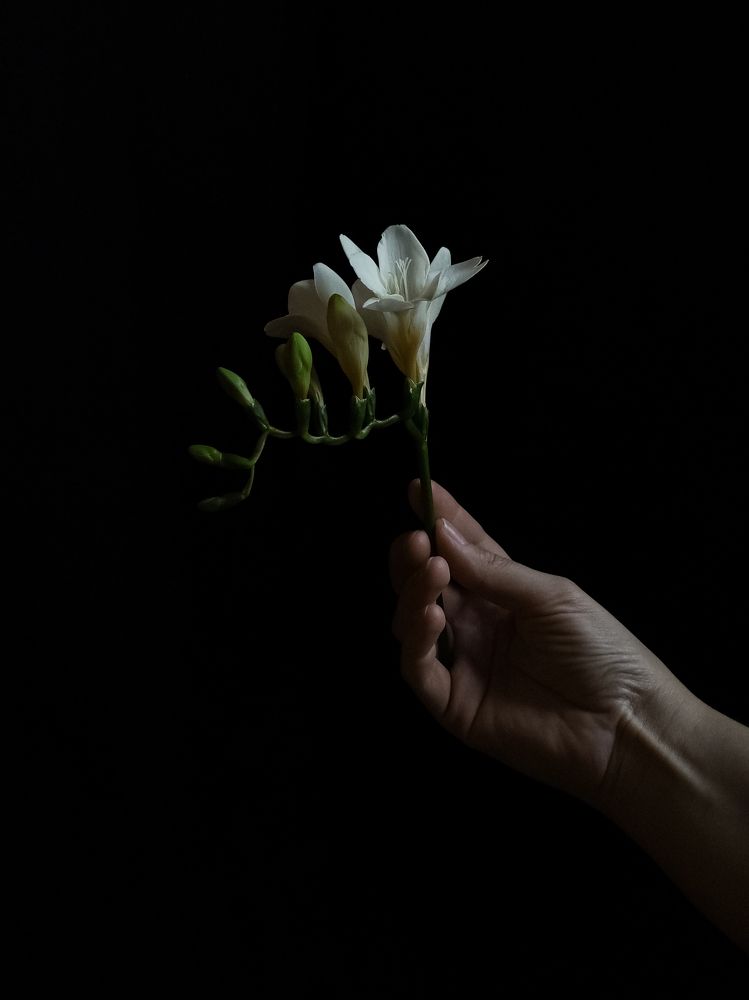 Photograph by Tatiana Aleksandrova