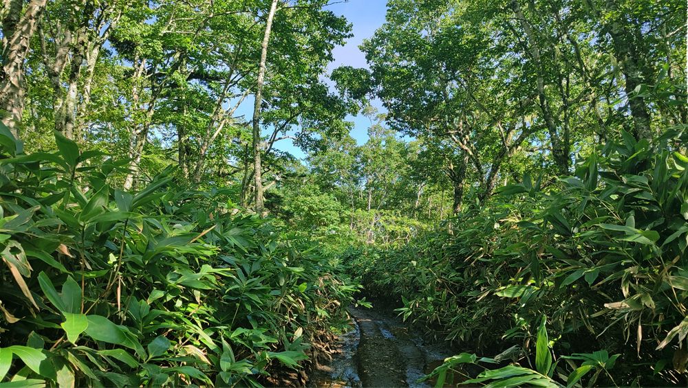 Photograph by Евгений Самулев