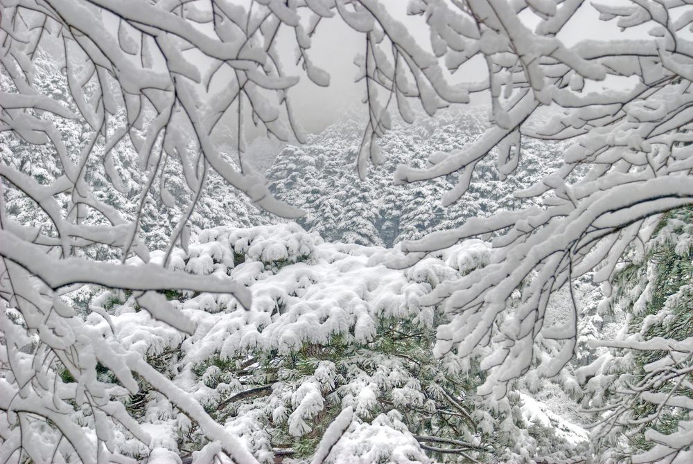 Photograph by Евгений Самулев