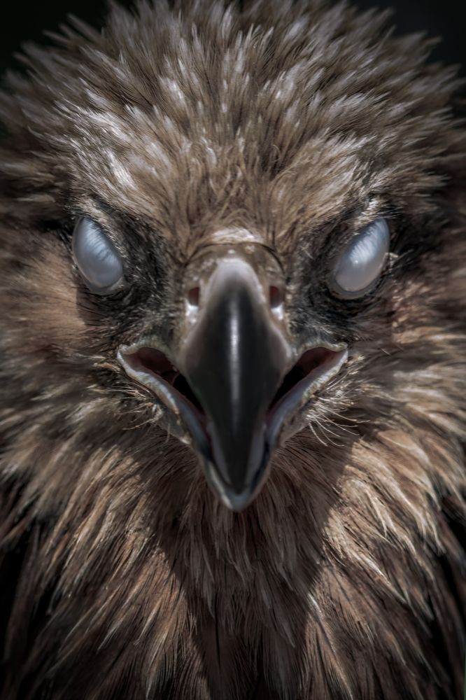 Photograph by Easa Lebbe Muhammed Jamsith