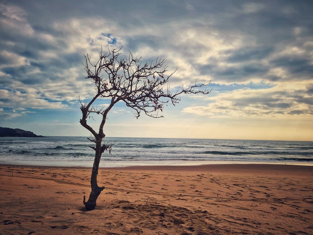 Photograph by Do Thi Thanh Binh