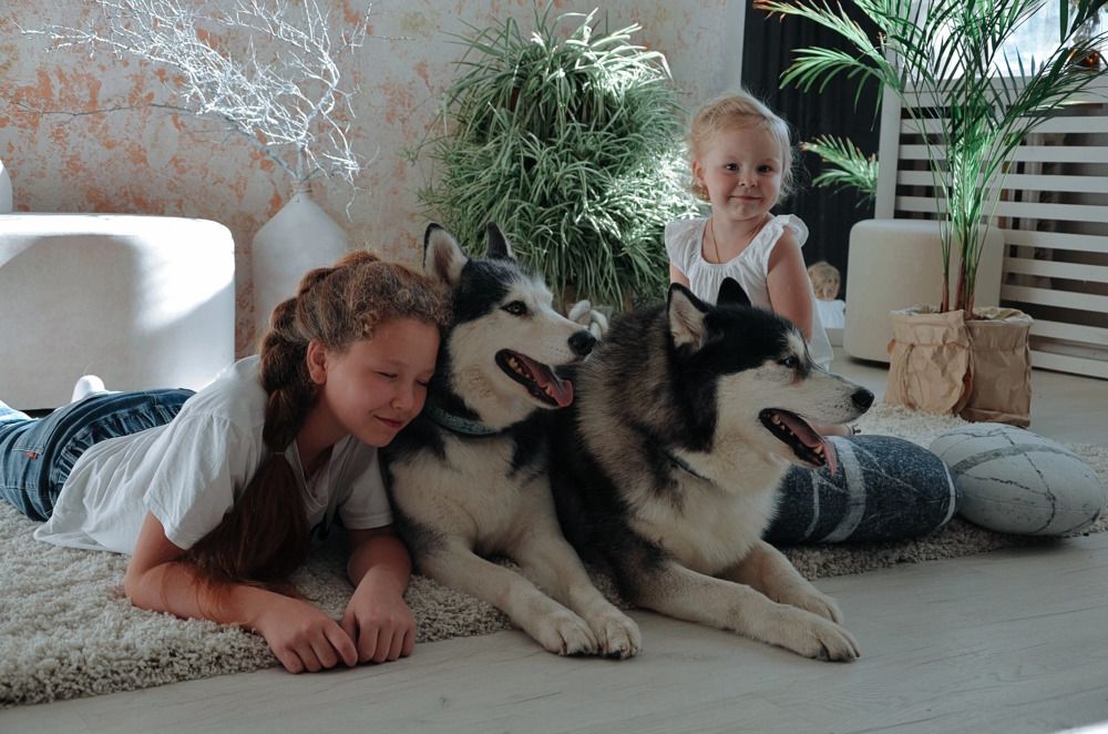 Photograph by Зыкова Мария