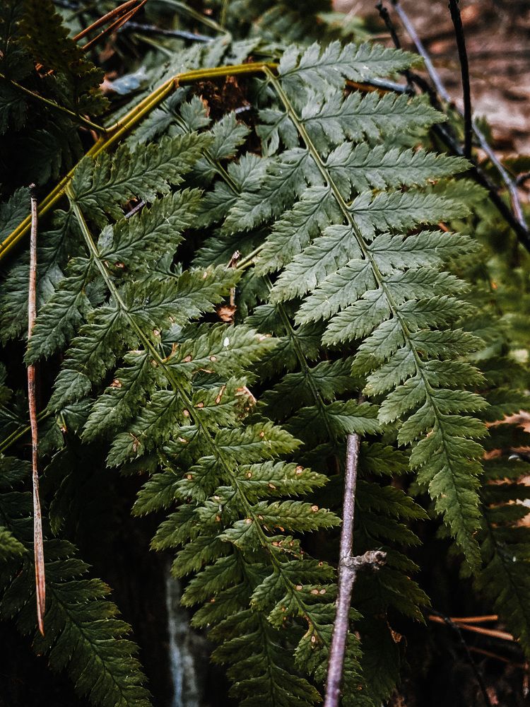 Photograph by Дарья Андреева