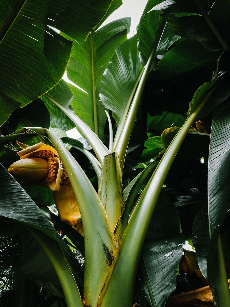 Photograph by Дарья Андреева