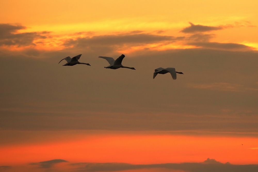 Photograph by Vitalijs Kopa