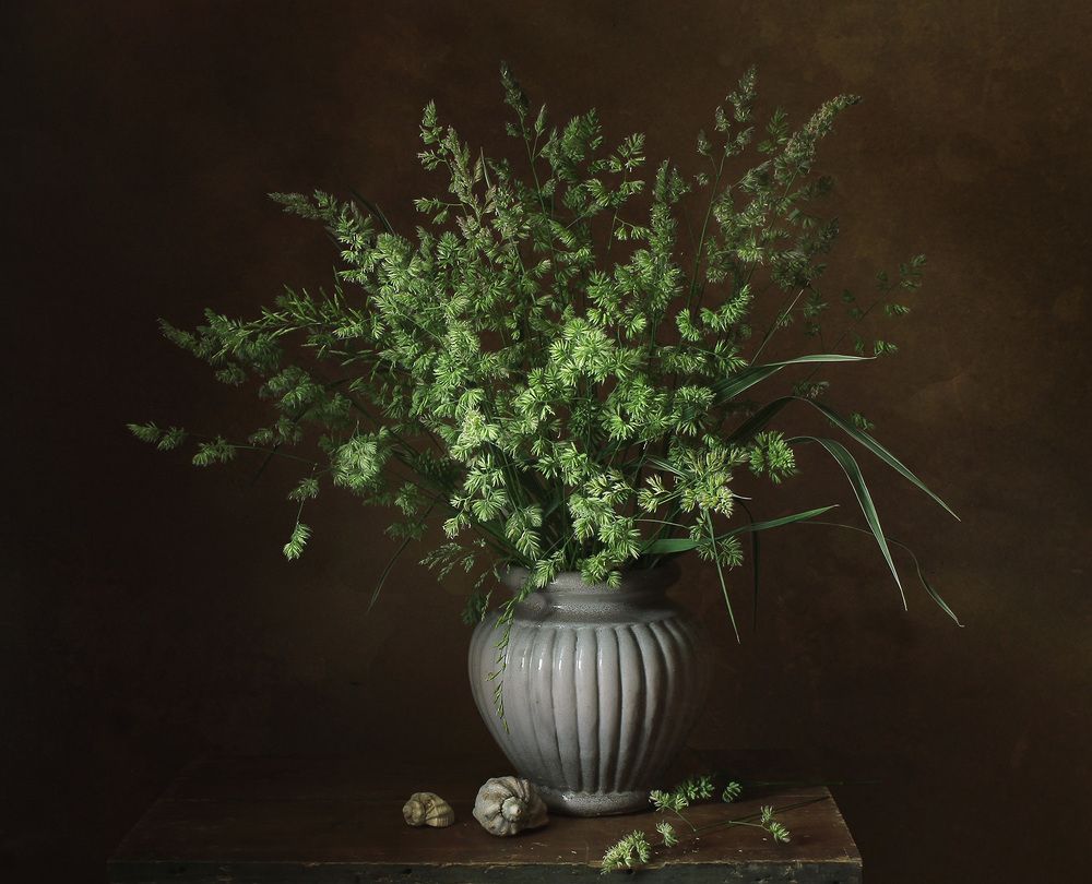 Photograph by Курочкина Диана