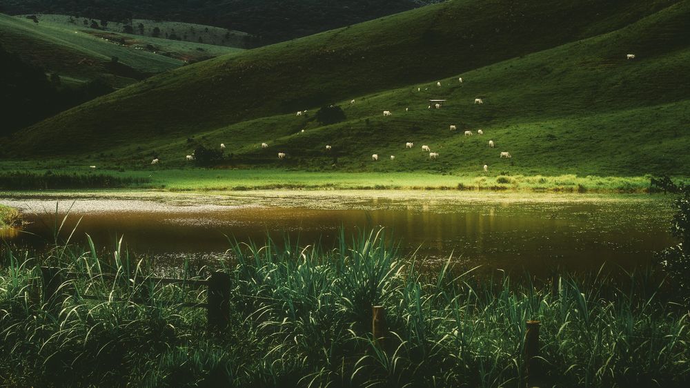 Photograph by RAFAEL SERRANO