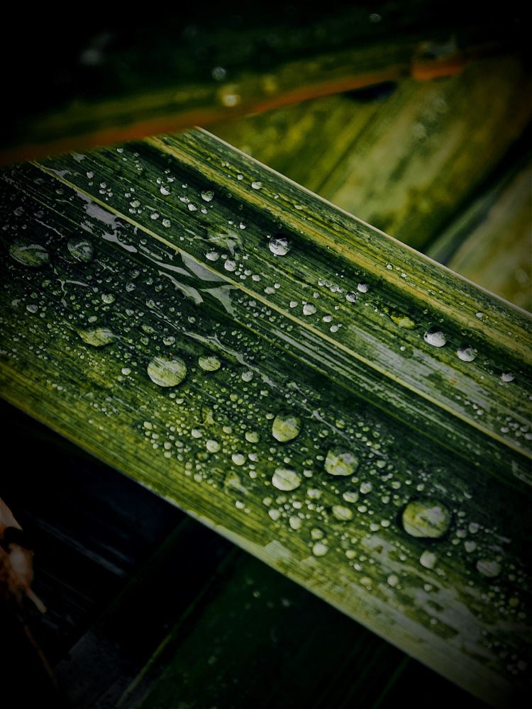 Photograph by Алексей Климов