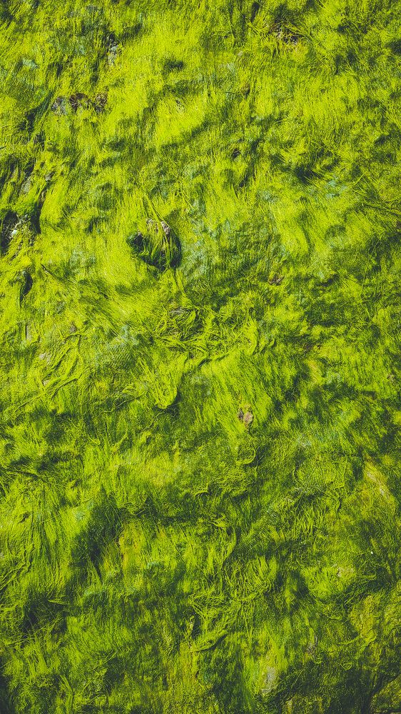 Photograph by Ehsan Fathi