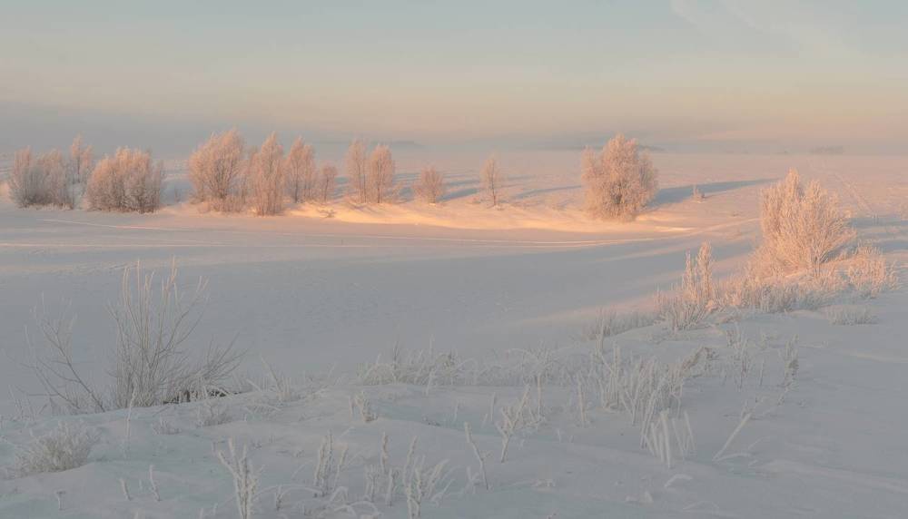 Фотография автора Константин Григорьев