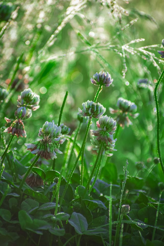 Photograph by Margarita