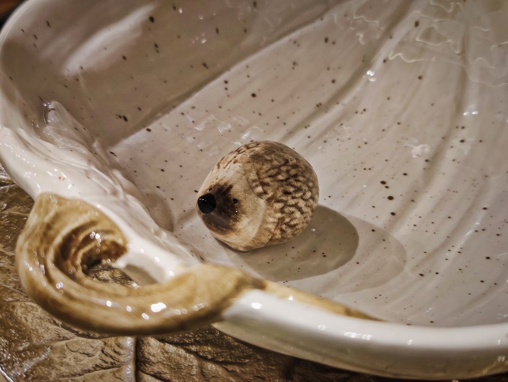 Photograph by Olena Chertous