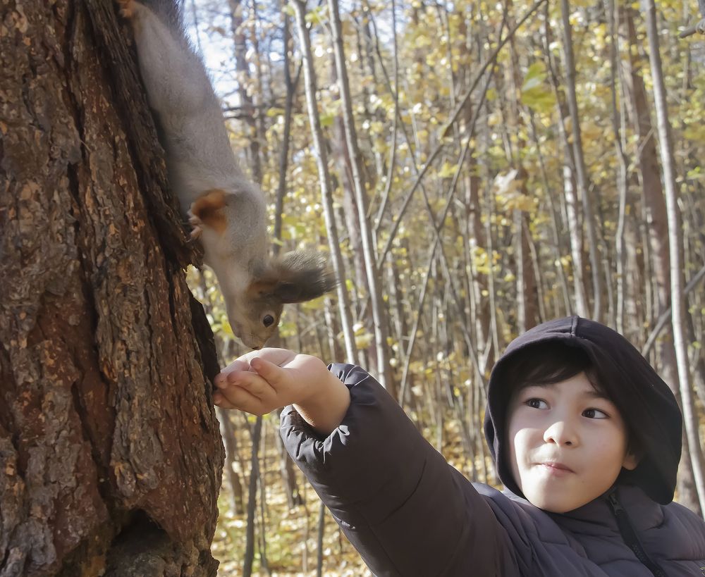 Photograph by Алексей Патлах