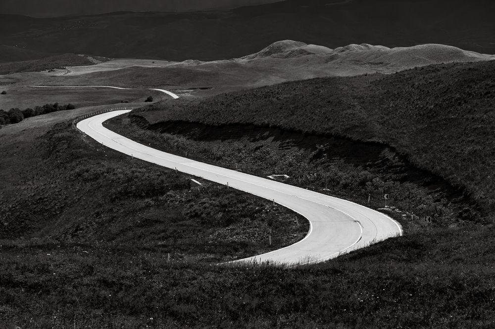 Фотография автора Андрей Симонов