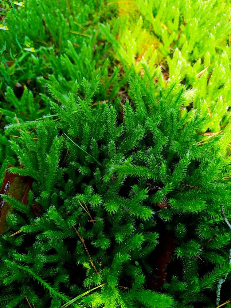 Photograph by Светлана Таркан