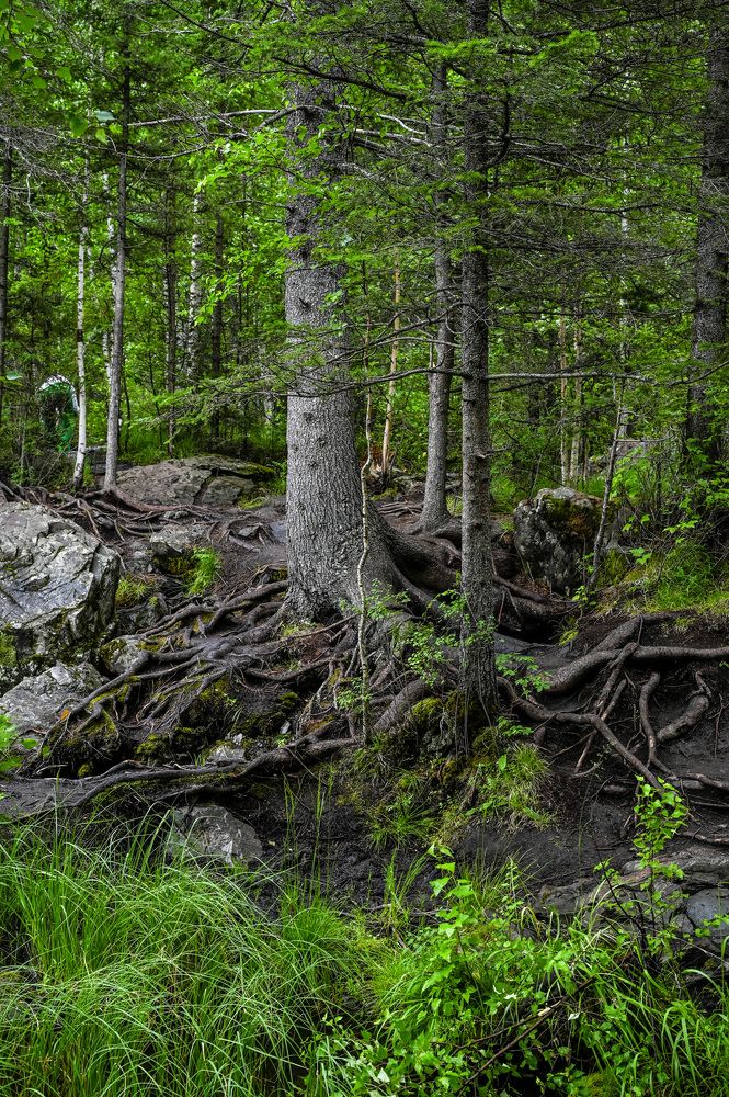 Photograph by Alexandr Myasnikov